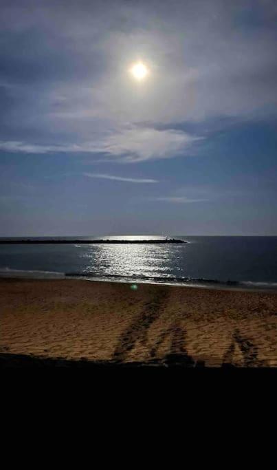 Studio Climatise Proche De Montpellier Et Des Plages 빌레뇌브-레-마그론 외부 사진